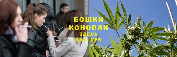 метадон Инта