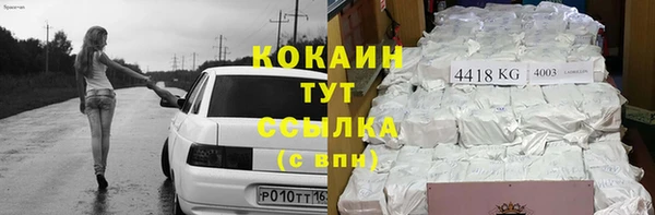 метадон Инта