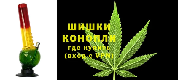 метадон Инта
