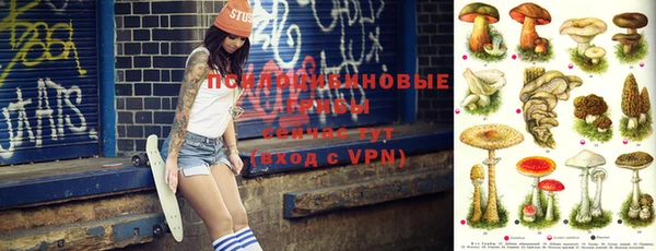 метадон Инта