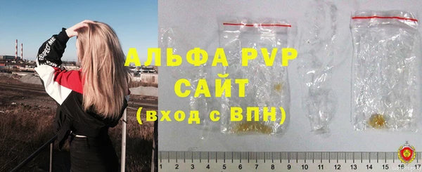 не бодяженный Иннополис
